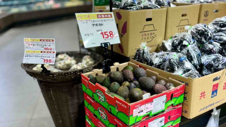 Westfalia Fruit Shares Vision for the Future of Avocado Growth in Asia